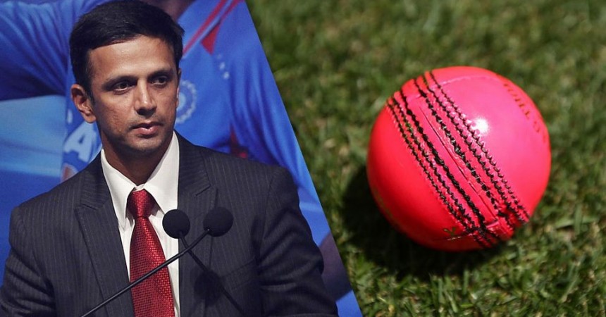 1466517372_dm_160621_na-dravid-pinkball-21june-nrh.jpg